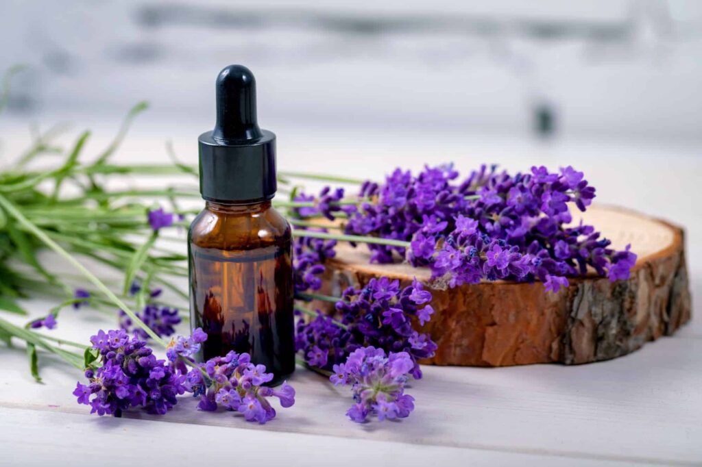 A bottle of lavender oil placed next to lavender flowers